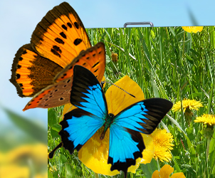 304AM永利对户外LED显示屏的验收标准详情