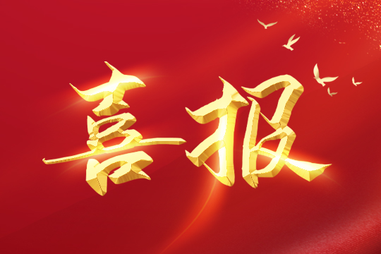 喜报 | 304AM永利led球形屏成功入围“深圳企业创新纪录”！ 